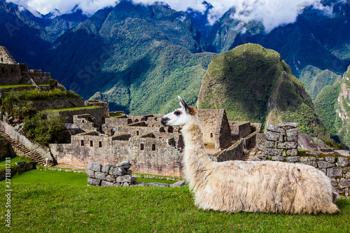 マチュピチュ - Machu Picchu, Peru