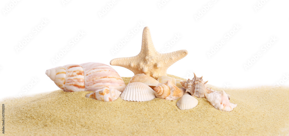 Beautiful exotic sea shells, starfish and sand on white background