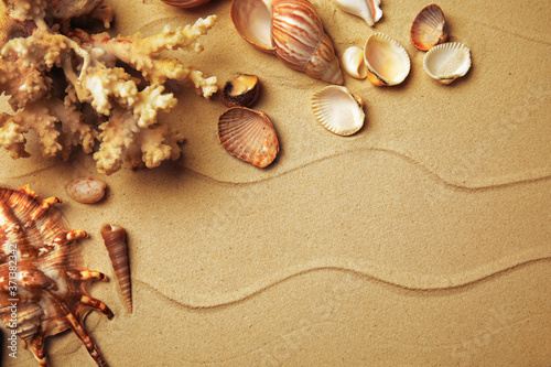 Different beautiful sea shells on sand, flat lay. Space for text