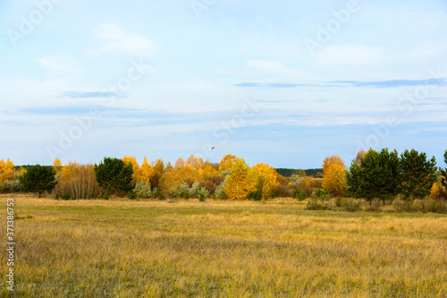 Landscape images of autumn nature near the village of Shigony
