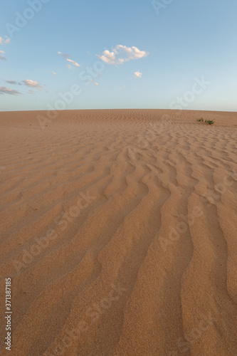 Dusk landscape of the desert