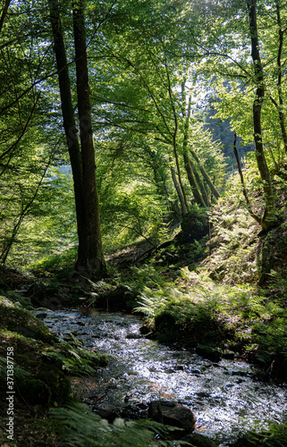 Obraz na płótnie Bach w salonie
