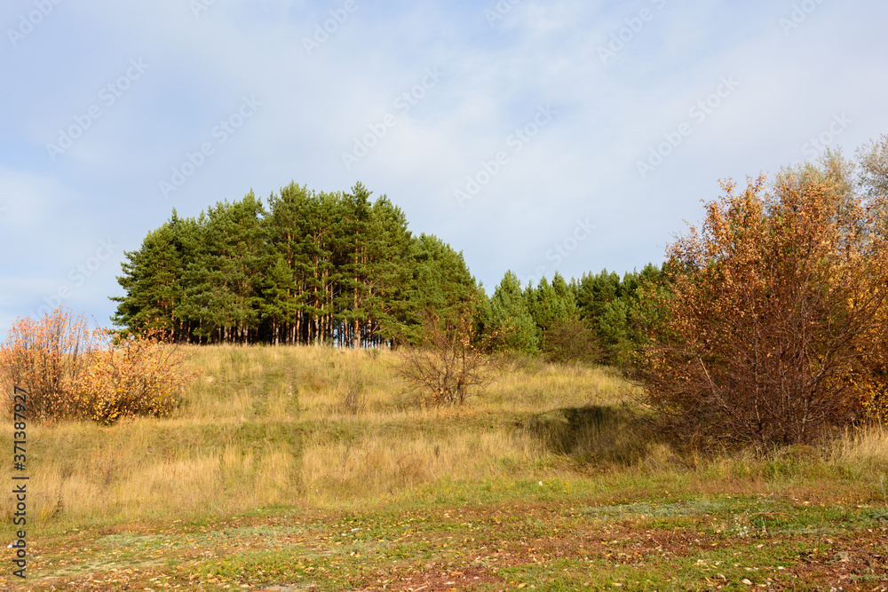 Obraz premium Landscape images of autumn nature near the village of Shigony