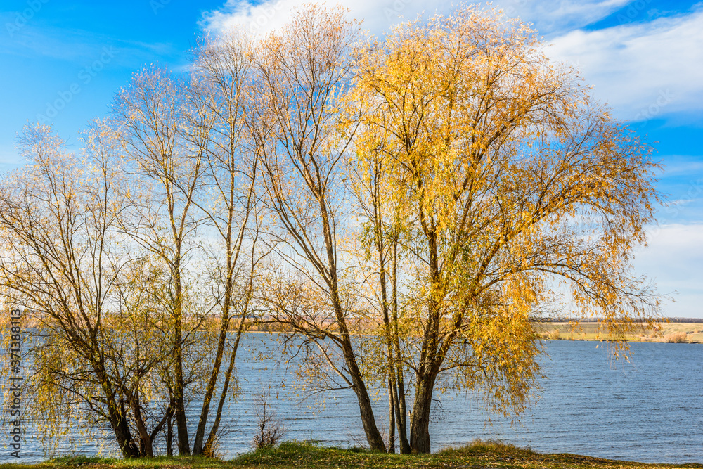 Obraz premium Landscape images of autumn nature near the village of Shigony