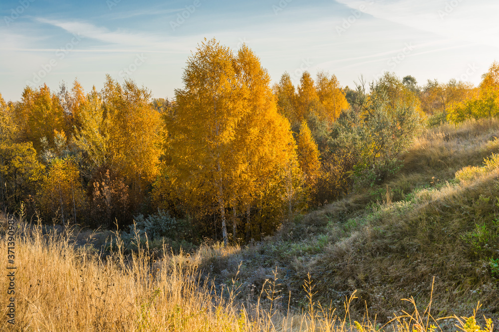 Landscape images of late autumn in Syzran district of Samara region Landscape images of late autumn in Syzran district of Samara region