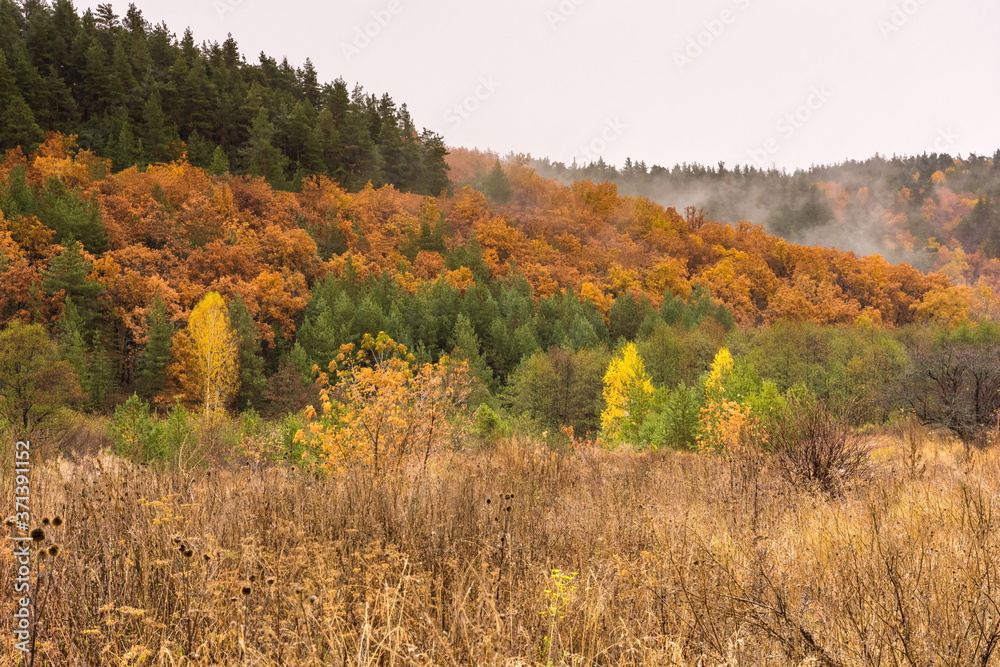 Fototapeta premium Landscape images of late autumn in Syzran district of Samara region