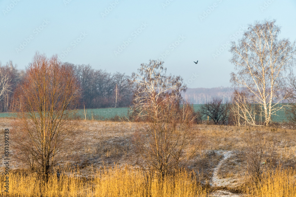 First snow and morning frosts with fog on the USA river First snow and morning frosts with fog on the USA river