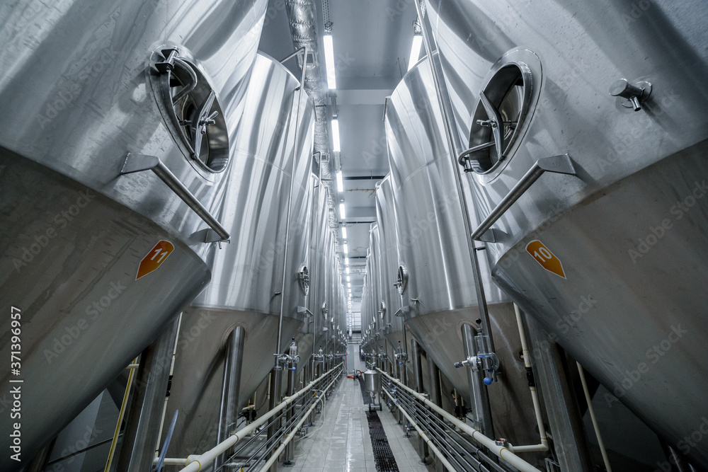 Fototapeta premium Wide angle of row of tanks in brewery. Fermentation in brewery tanks with beer for brewing. Modern beer factory. Big steel tanks for storage. Concept of brewery and beer plant.