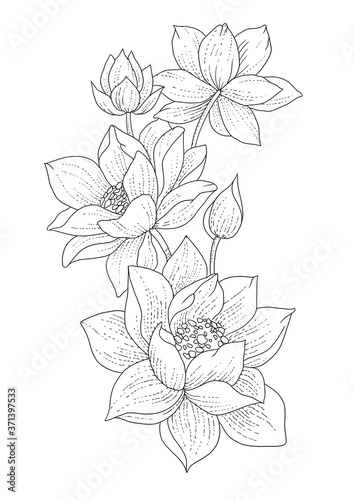 hand drawn flower