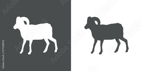Silueta de borrego cimarrón en fondo gris y fondo blanco