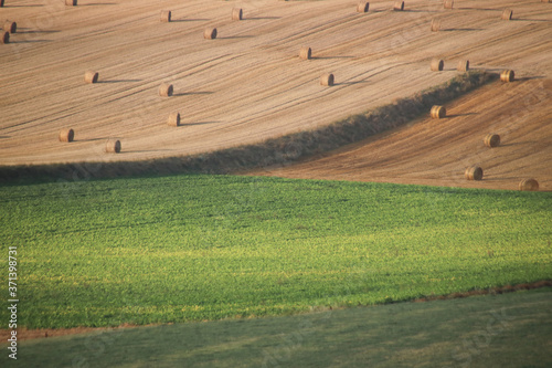 champs devant la Manche dans le nord de la france
 photo