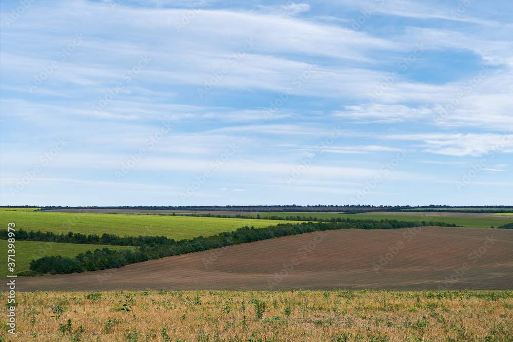 bright and beautiful summer landscape - fields and sky bright and beautiful summer landscape - fields and sky