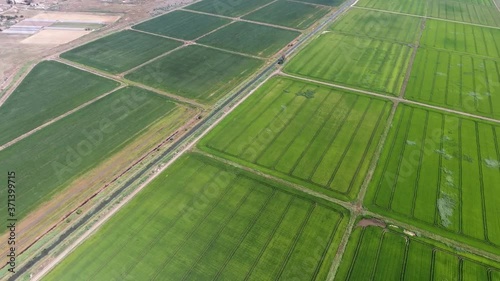 Aerial shot of a horizonless green farming land with roads and ditches in summer photo