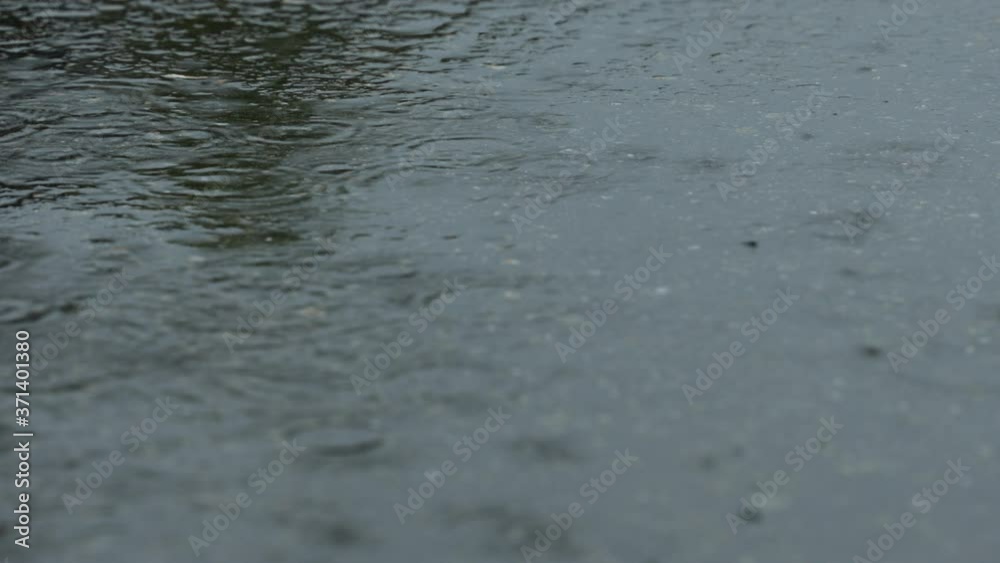 アスファルトに降る雨 アスファルトに降る雨