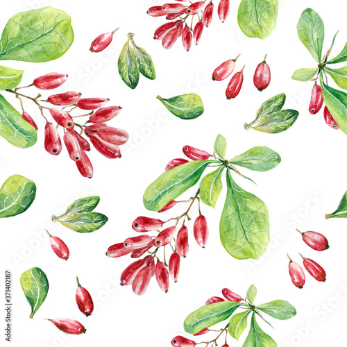 seamless pattern of barberry berries watercolor