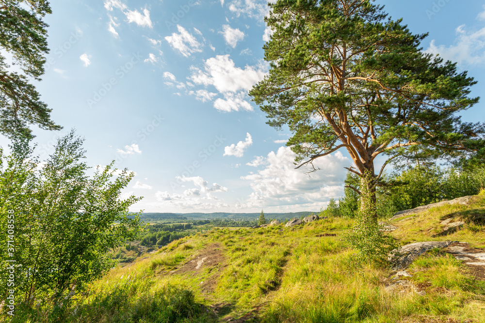 PIcturesque landscape with tree on the top of the hill and blue sky during summer in Sortavala, Karelia. Horizontal image.