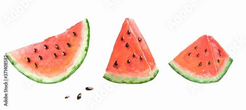 Fototapeta Naklejka Na Ścianę i Meble -  Slices of watermelon isolated on a white background. Painted with acrylic paints. Can be used to create wrapping paper, phone cases, wallpapers, fabrics, fashion prints.