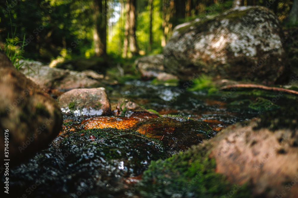 water of the river Weißer Main flows through a creek bed with stones in the Fichtelgebirge water of the river Weißer Main flows through a creek bed with stones in the Fichtelgebirge