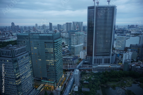 urban city skyline aerial view under cloudy sky in Tokyo  Japan