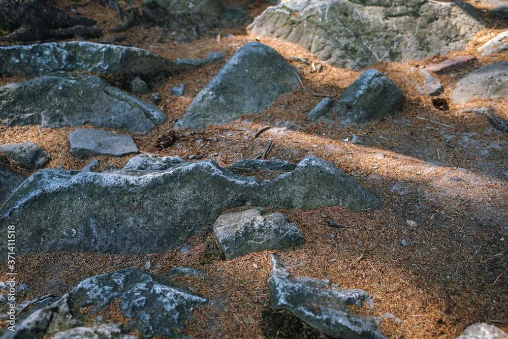 Closeup shot of big rocks in the middle of the woods
Closeup shot of big rocks in the middle of the woods