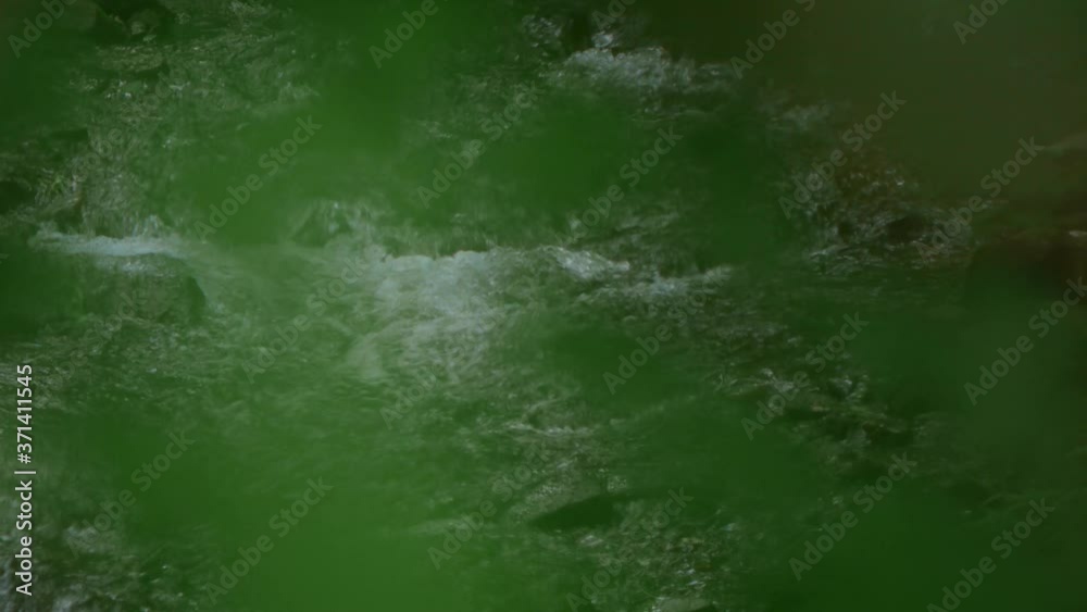 river in forest river in forest