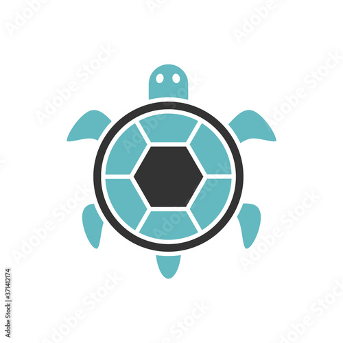 .bicolor tortoise icon, graphic illustration from Pet-vet collection, for web and app design
