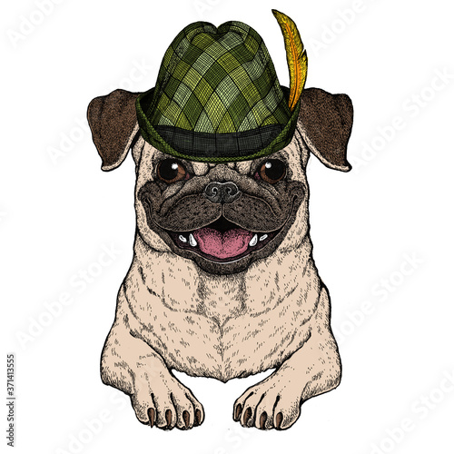 Pug. Cute animal portrait. Austrian bavarian tirol hat. Beer festival. Oktoberfest. Dog head.