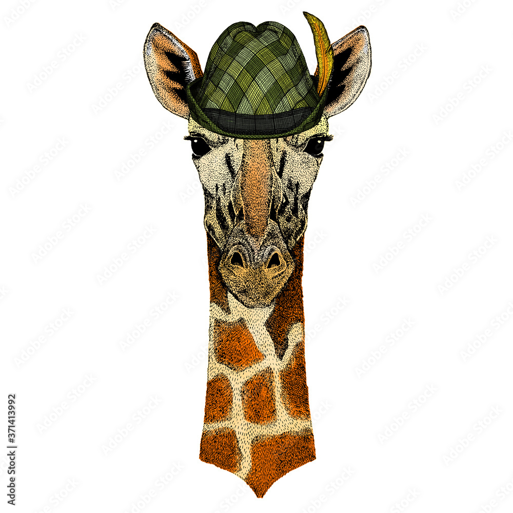Giraffe head. Austrian bavarian tirol hat. Beer festival. Oktoberfest. Portrait of wild animal.