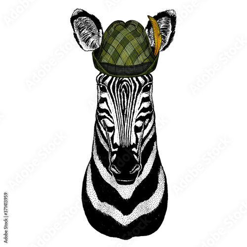 Zebra portrait. Austrian bavarian tirol hat. Beer festival. Oktoberfest. Head of wild animal.