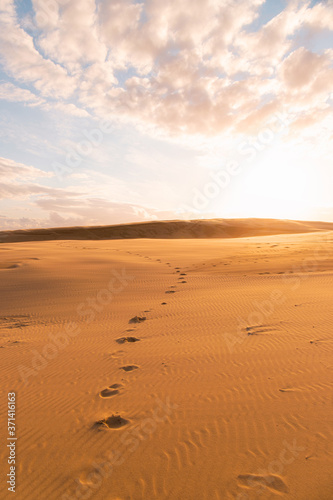 Desert sunset view with footsteps.