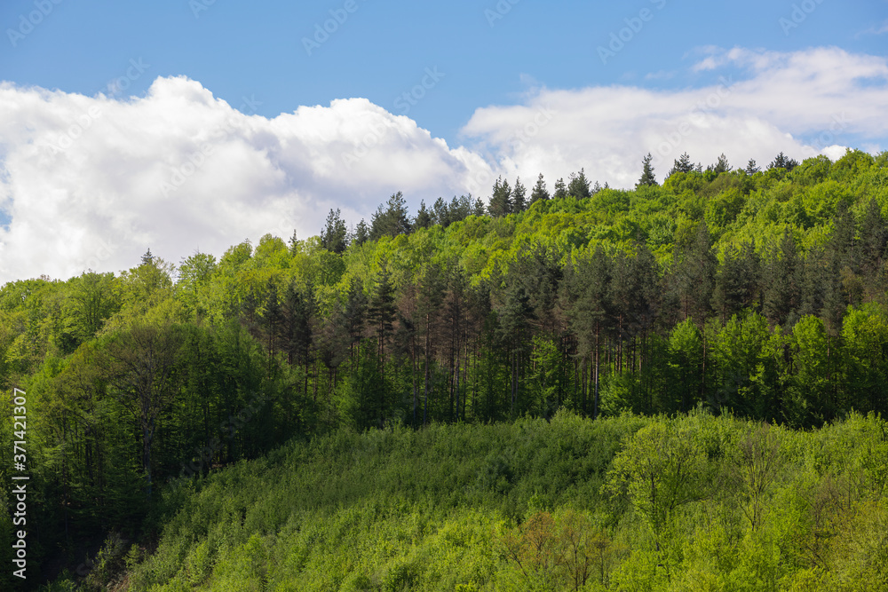 Scenic green rolling hills against the blue sky with clouds. Scenic green rolling hills against the blue sky with clouds.