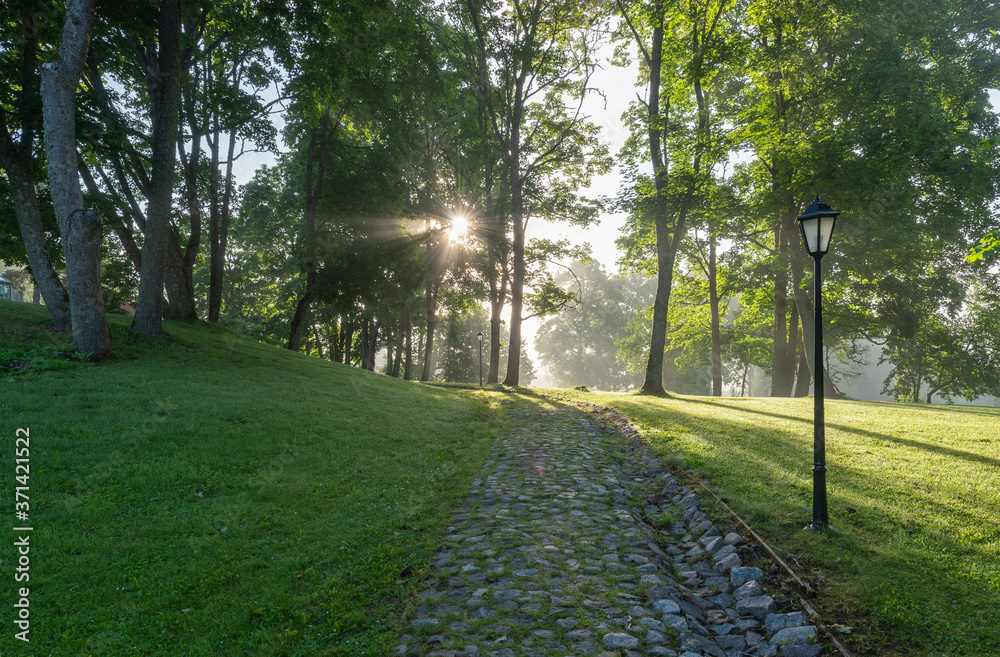 estonian summer landscape