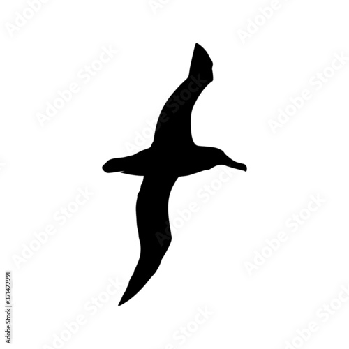 Albatros silhouette vector art animal