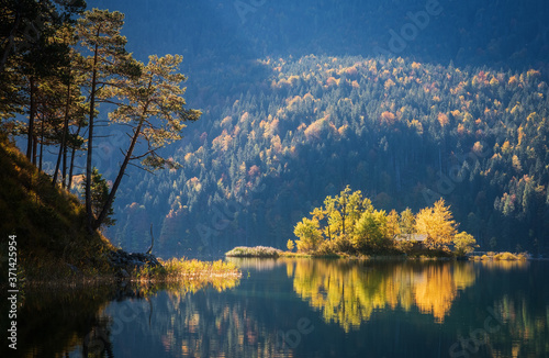 insel im morgendlichen herbstlicht am eibsee photo