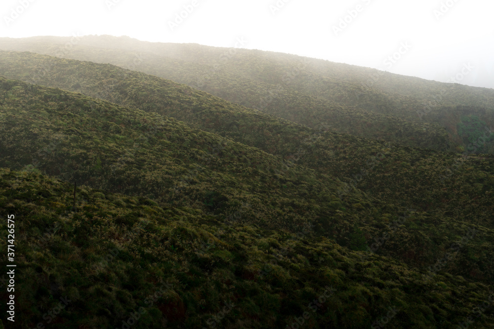 Foggy hills on the Azores Islands