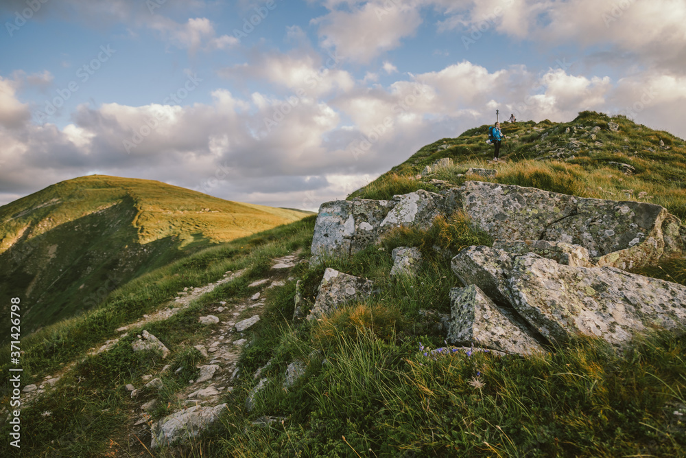 A close up of a hillside next to a rock