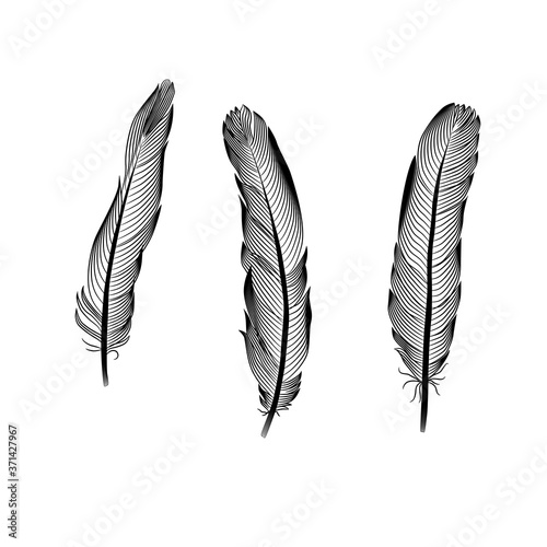 The collection of eagle feathers is drawn in black ink on a white background. Isolated vector elements for laser cutting, engraving, printing, template. Wild bird feather design is hand drawn.