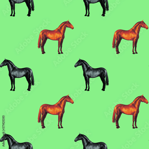 seamless background of realistic figures of horses  on a green background for packaging  postcards  notebooks  fabrics