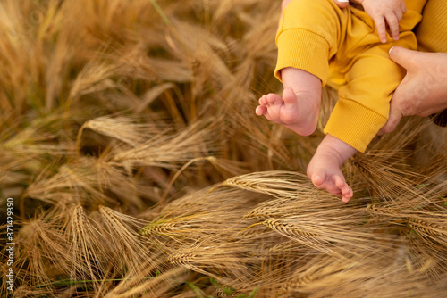 Feet of a three-month-old baby boy on a background of ripe wheat. Close-up. Place for your text.