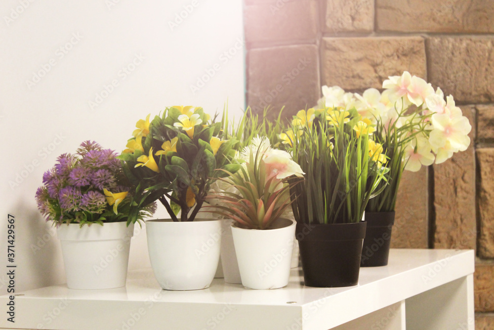 Decorative flowers in white pots