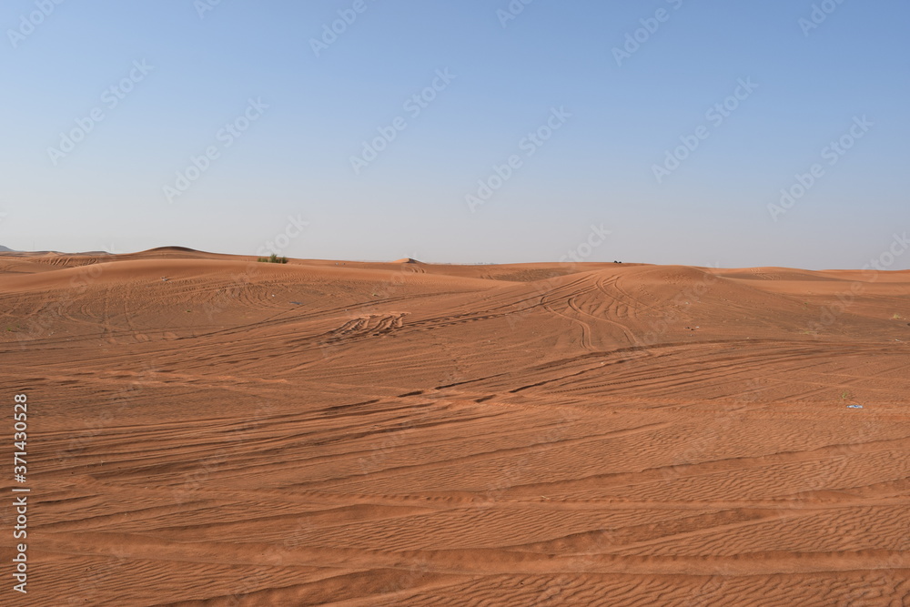 desert road in the desert