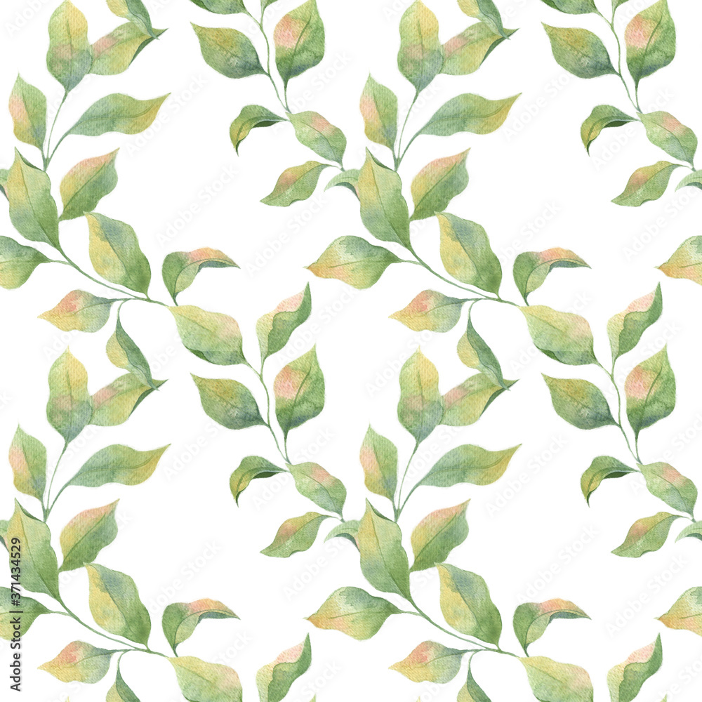 Seamless watercolor pattern with green leaves on a white background. Delicate colors, Apple twigs. Print for fabrics, curtains, wedding decoration, clothing. Seamless watercolor pattern with green leaves on a white background. Delicate colors, Apple twigs. Print for fabrics, curtains, wedding decoration, clothing.