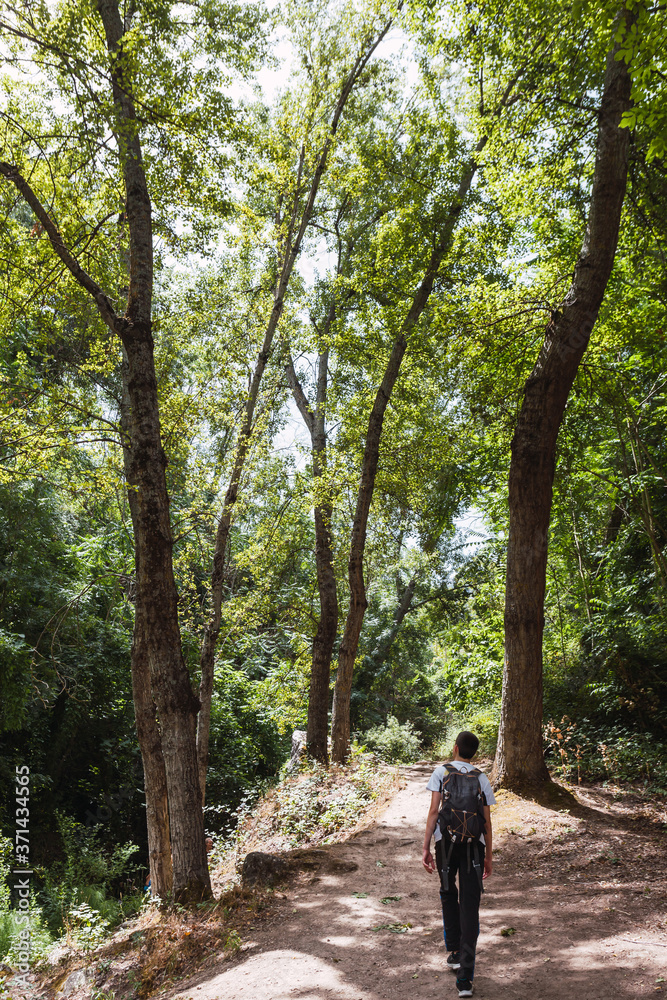 Young adventurer on his back with backpack walking while traveling on offroad nature tourism in the middle of the forest in the Cazorla Natural Park, in Spain. Selective focus.