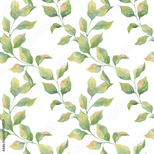 Seamless watercolor pattern with green leaves on a white background. Delicate colors  Apple twigs. Print for fabrics  curtains  wedding decoration  clothing.