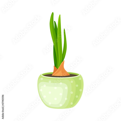 Transplant Flower or Young Plant Growing in Flowerpots Vector Illustration