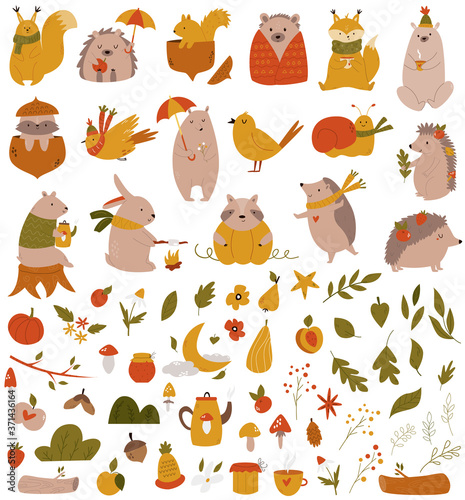 Big set with forest animals and coleection of leaves, fruits, other symbols.