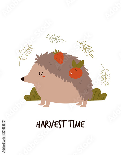 Cute hedgehog with fruits on his back. HARVEST TIME text