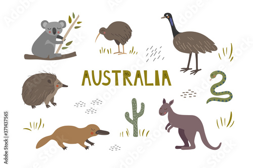Cute hand drawn set with australian animals. Kangaroo  koala and platypus. Kiwi  echidna and ostrich.