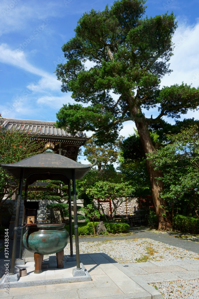 Japan. Hesedera Temple grounds is one of the Buddhist temples in the city of Kamakura in Kanagawa Prefecture