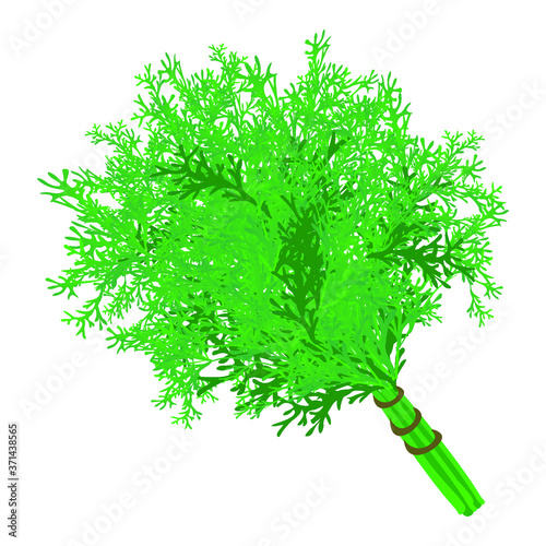 Fresh bunch of greens on a white background. Harvesting for the winter. Autumn harvest. Vector illustration